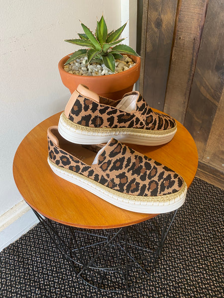 Queen Bee sneaker leopard (sizes 39-41)